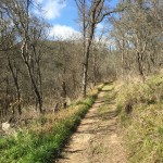 BOTTOM LINE: A great option for day hiking in cooler seasons near Austin.